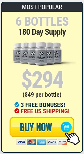 VisionX 6 Bottle Price